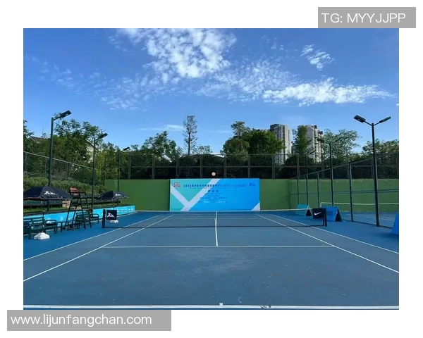 成都网球队的节奏揭秘:深度解析网球运动的魅力与挑战